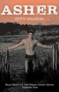 Asher (Boys South of the Mason Dixon #1) by Effy Vaughn