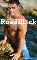 RoadBlock by Amelia Bishop