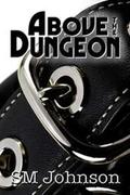 Above the Dungeon (Dungeon #1) by S.M. Johnson