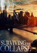 Surviving the Collapse by James Hunt