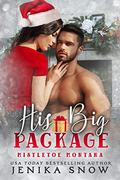 His Big Package by Jenika Snow