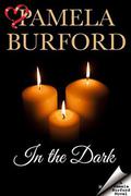 In the Dark (The Wrong Bed #7) by Pamela Burford