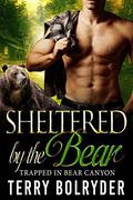 Sheltered by the Bear by Terry Bolryder