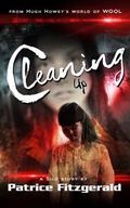 Cleaning Up by Patrice Fitzgerald