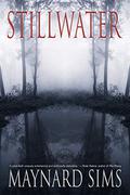 Stillwater by Maynard Sims