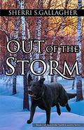 Out of the Storm: Book 2 of Search the North Country by Sherri Gallagher