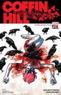 Coffin Hill (2013-) #1 (Coffin Hill (Single Issues) #1) by Inaki Miranda