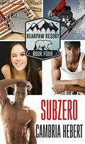 Subzero by Cambria Hebert