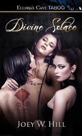 Divine Solace by Joey W. Hill