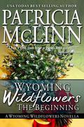 Wyoming Wildflowers: The Beginning (Wyoming Wildflowers #0.5) by Patricia McLinn
