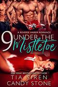 9 Under the Mistletoe by Tia Siren, Candy Stone
