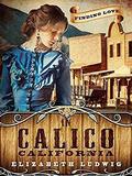 Finding Love in Calico, California by Elizabeth Ludwig