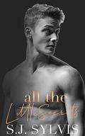 All the Little Secrets: A Standalone Enemies-to-Lovers High School Romance by S.J. Sylvis