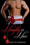 Naughty or Nice by Kari Lee Townsend