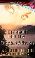 Stakeout for Love by Christie Walker Bos