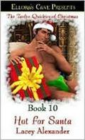 Hot for Santa (Hot in the City #5) by Lacey Alexander