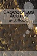 Crocodylus Acutus (Love is Always Write) by J. Rocci