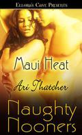 Maui Heat (Naughty Nooners) by Ari Thatcher