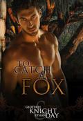 To Catch A Fox (Fox Mysteries #1) by Ethan Day