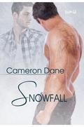 Snowfall (Foster Siblings #2.5) by Cameron Dane