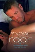 Snow on the Roof by Maggie Lee