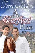 A Perfect Plan (A Billionaire in Disguise #2) by Terri Marie