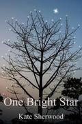 One Bright Star by Kate Sherwood