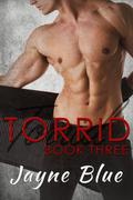 Torrid - Book Three by Jayne Blue