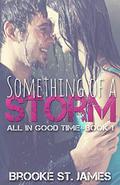 Something of a Storm by Brooke St. James