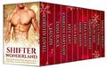 Shifter Wonderland Anthology (Christmas at Riverton #1) by Christin Lovell