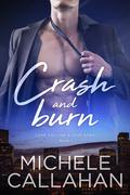 Crash and Burn (Love You Like a Love Song #1) by Michele Callahan