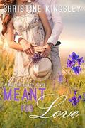 Meant for Love (Willow Valley #2) by Christine Kingsley