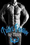 Irish's Destiny by Erin Osborne