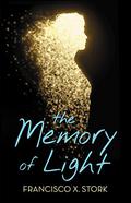 Memory of Light by Francisco X. Stork