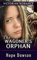 The Carter's Orphan by Hope Dawson