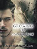 Growing Up Santorno: The Santorno Series by Sandrine Gasq-Dion