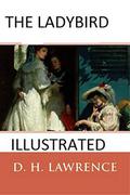 The Ladybird Illustrated by D H Lawrence