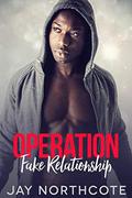 Operation Fake Relationship: An MM Christmas Romance by Jay Northcote