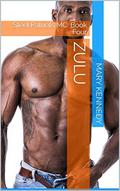 ZULU: Steel Patriots MC: Book Four by Mary Kennedy