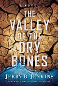 The Valley of Dry Bones: A Novel (End Times) by Jerry B. Jenkins
