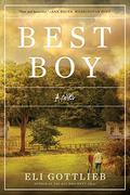 Best Boy by Bronson Pinchot