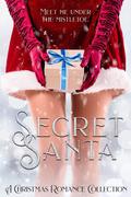 Secret Santa by Sunny Abernathy, Sofia Aves