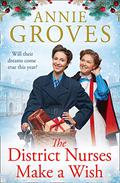 The District Nurses Make a Wish (The District Nurse #5) by Annie Groves