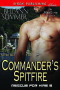 Commander's Spitfire by Bellann Summer