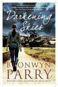 Darkening Skies by Bronwyn Parry