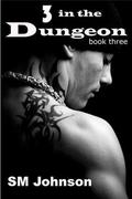 Three in the Dungeon (Dungeon #3) by S.M. Johnson