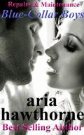 Repairs & Maintenance (Blue-Collar Boys) by Aria Hawthorne