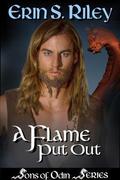 A Flame Put Out by Erin S. Riley