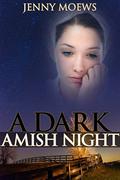 A Dark Amish Night by Jenny Moews