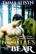 Norelle's Bear by Emma Alisyn